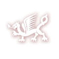 dragon logo
